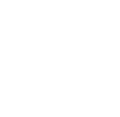 Added Deck Icon.png|24