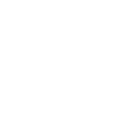 Nocturne Insignia.png