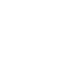 R.A.I.S.E Insignia.png